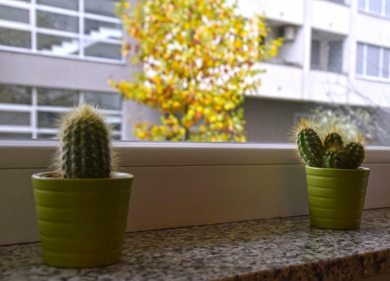 Apartments Dora 자그레브 외부 사진